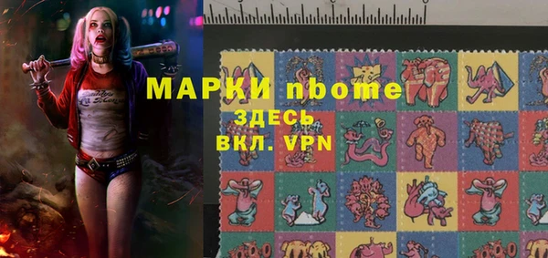 прущий лед Бородино
