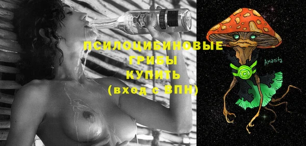 прущий лед Бородино
