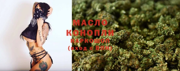 прущий лед Бородино