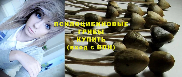 эйфоретик Володарск