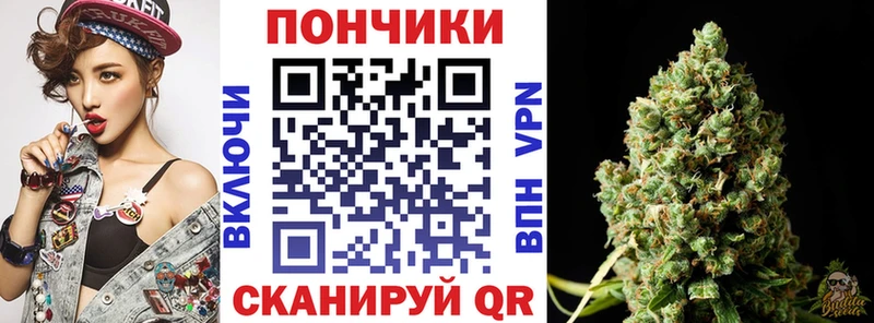 Бошки марихуана индика  Знаменск 